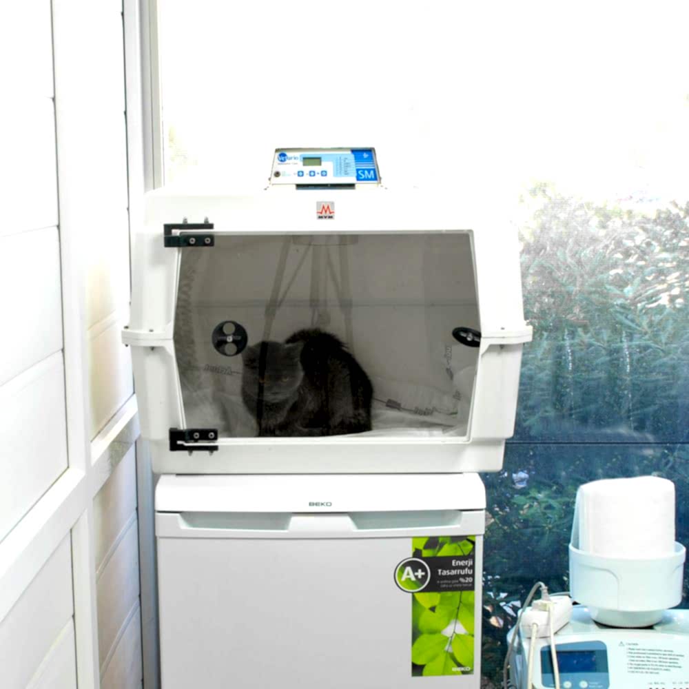 Yoğun Bakım Ünitesi