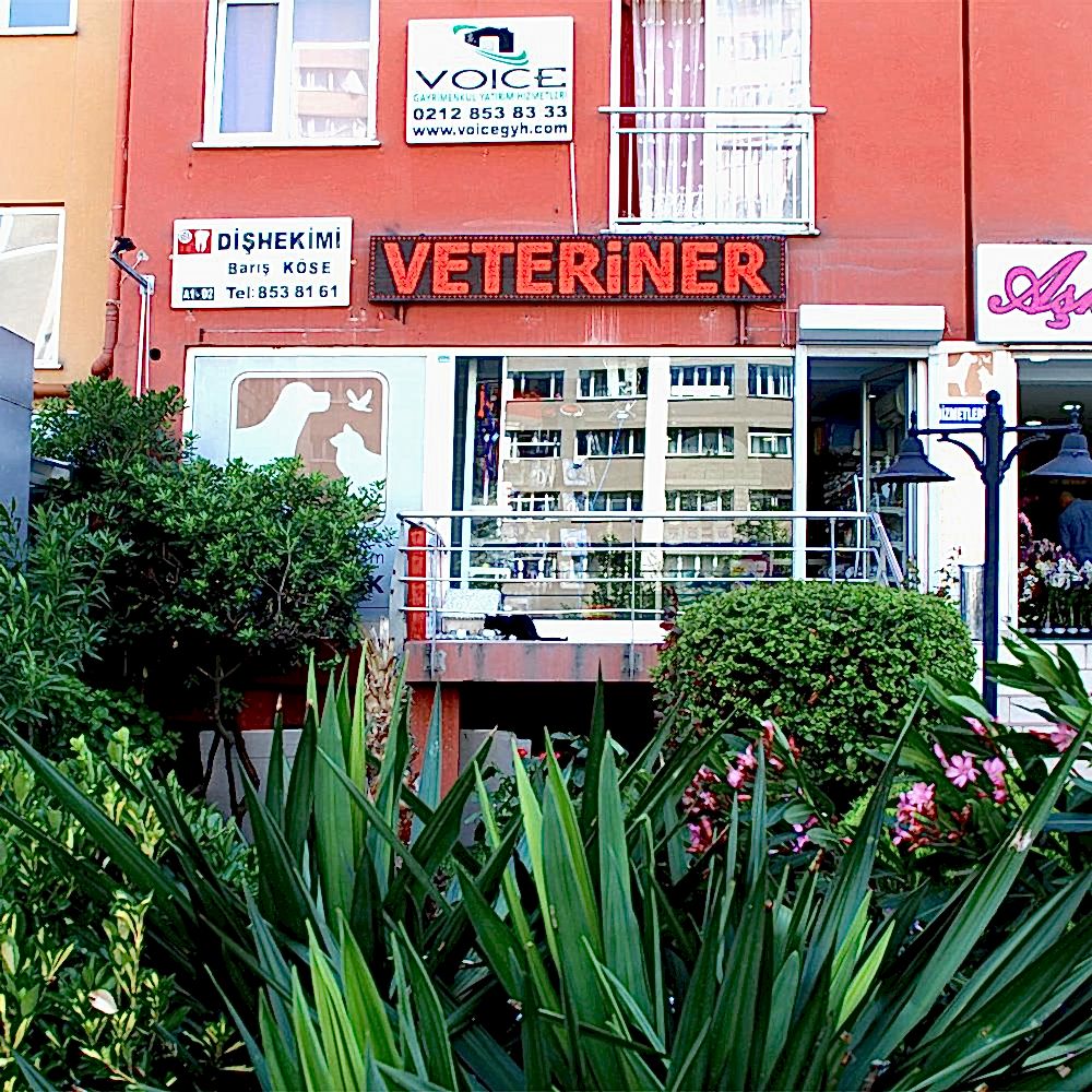 Beylikdüzü Veteriner Kliniği