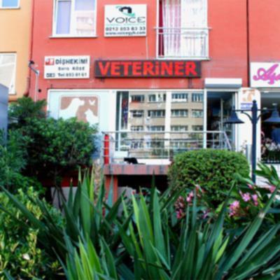 Beylikdüzü Veteriner Kliniği