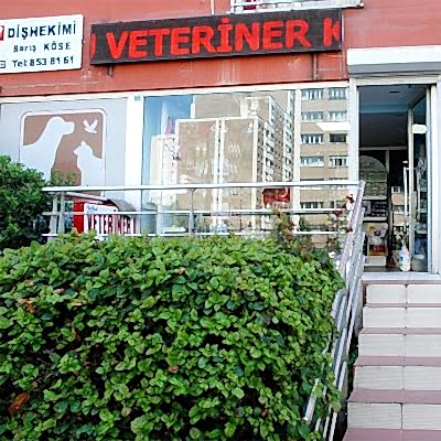 Beylikdüzü Veteriner Kliniği