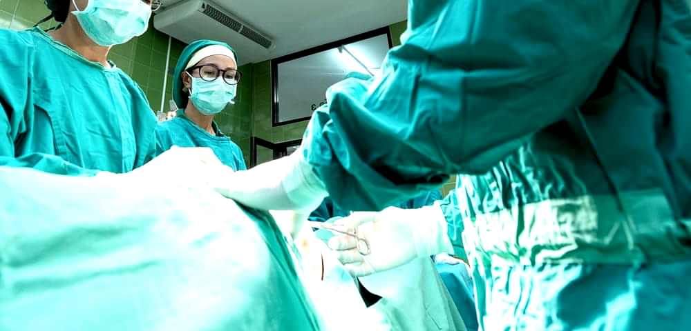 Beylikdüzü Veteriner Kliniği