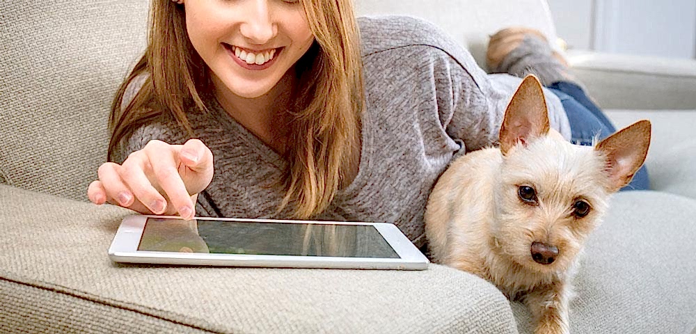 Beylikdüzü Veteriner Kliniği