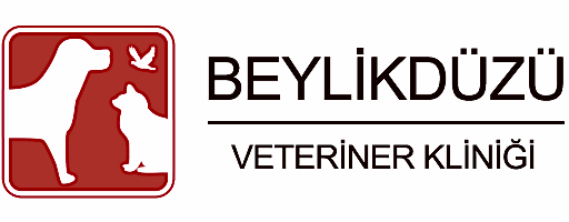 Beylikdüzü Veteriner Kliniği