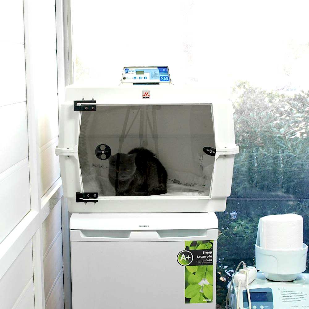 Yatar Hasta ve Pansiyon Hizmetleri