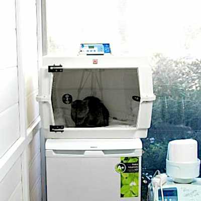 Yatar Hasta ve Pansiyon Hizmetleri